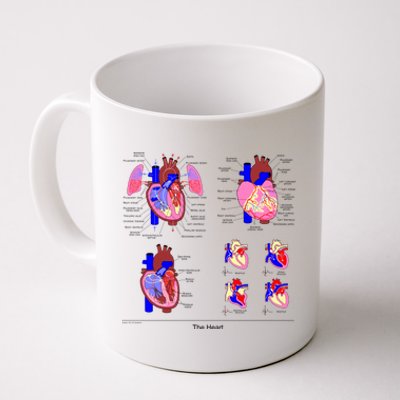 Anatomy Of The Heart Mug Coffee Mug