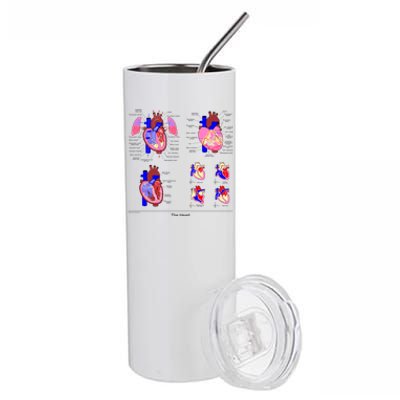 Anatomy Of The Heart Mug Stainless Steel Tumbler