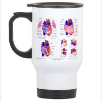 Anatomy Of The Heart Mug Stainless Steel Travel Mug