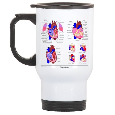 Anatomy Of The Heart Mug Stainless Steel Travel Mug