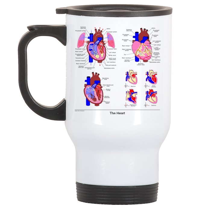 Anatomy Of The Heart Mug Stainless Steel Travel Mug