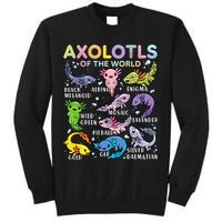 Axolotls Of The World Axolotl Kawaii Animals Salamander Sweatshirt