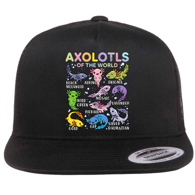 Axolotls Of The World Axolotl Kawaii Animals Salamander Flatbill Hat