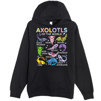 Axolotls Of The World Axolotl Kawaii Animals Salamander Premium Pullover Hoodie