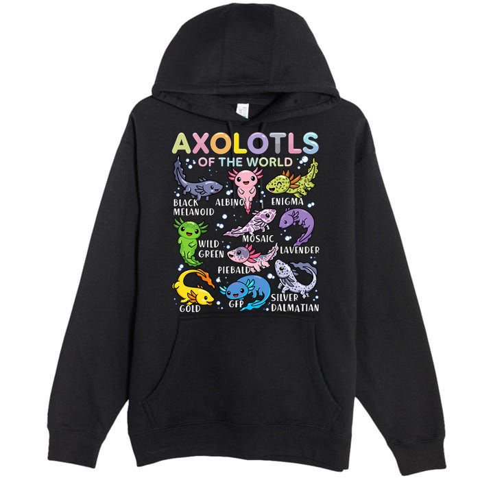 Axolotls Of The World Axolotl Kawaii Animals Salamander Premium Pullover Hoodie