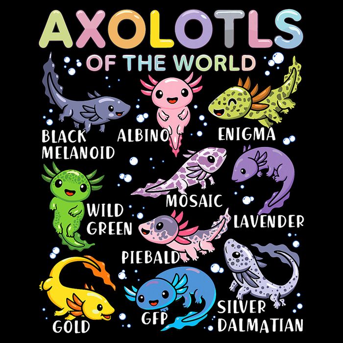 Axolotls Of The World Axolotl Kawaii Animals Salamander Magnet