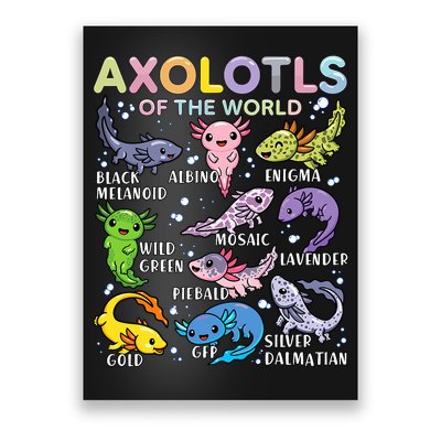 Axolotls Of The World Axolotl Kawaii Animals Salamander Poster