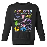 Axolotls Of The World Axolotl Kawaii Animals Salamander Toddler Sweatshirt