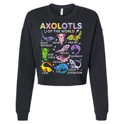 Axolotls Of The World Axolotl Kawaii Animals Salamander Cropped Pullover Crew