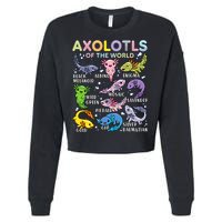 Axolotls Of The World Axolotl Kawaii Animals Salamander Cropped Pullover Crew