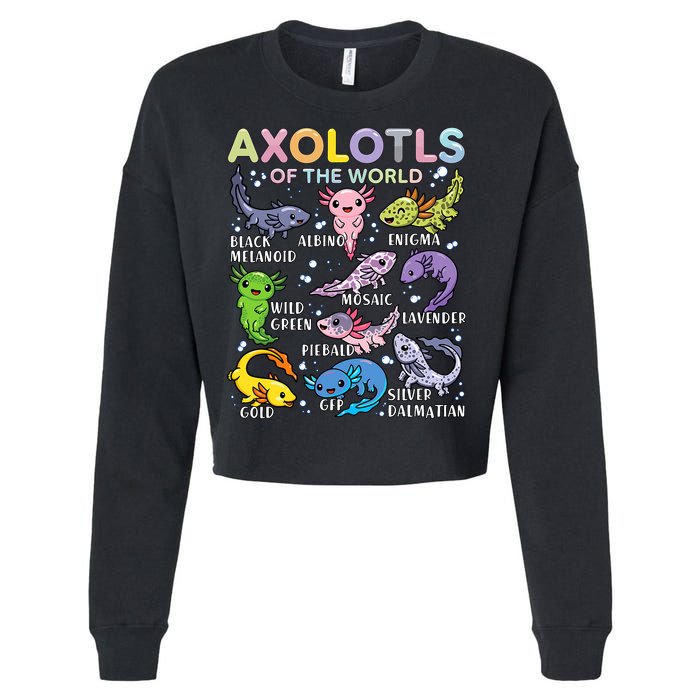 Axolotls Of The World Axolotl Kawaii Animals Salamander Cropped Pullover Crew