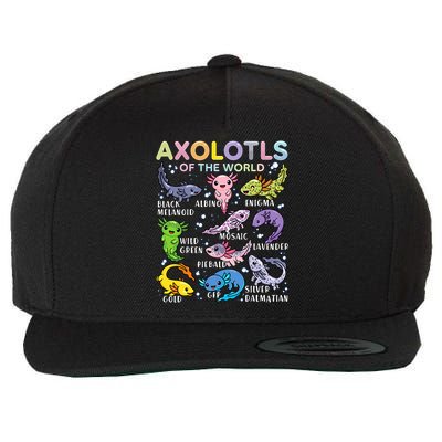 Axolotls Of The World Axolotl Kawaii Animals Salamander Wool Snapback Cap