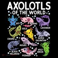 Axolotls Of The World Cute Kawaii Axolotl Bucket Hat