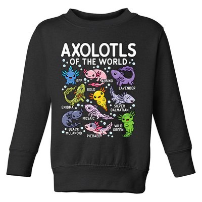Axolotls Of The World Cute Kawaii Axolotl Toddler Sweatshirt