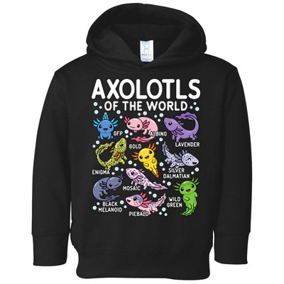 Axolotls Of The World Cute Kawaii Axolotl Toddler Hoodie
