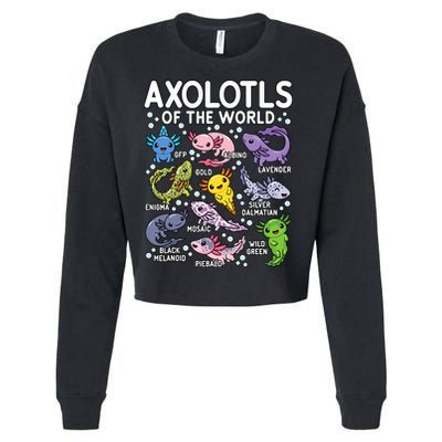 Axolotls Of The World Cute Kawaii Axolotl Cropped Pullover Crew