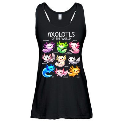 Axolotls Of The World Kawaii Types Of Axolotl Fish Amphibian Ladies Essential Flowy Tank