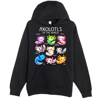 Axolotls Of The World Kawaii Types Of Axolotl Fish Amphibian Premium Pullover Hoodie