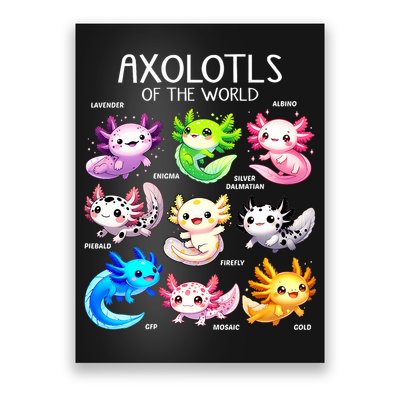 Axolotls Of The World Kawaii Types Of Axolotl Fish Amphibian Poster