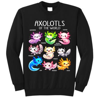 Axolotls Of The World Kawaii Types Of Axolotl Fish Amphibian Tall Sweatshirt