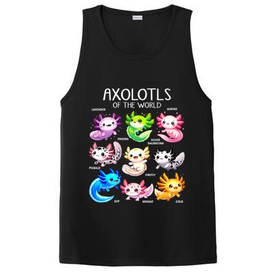 Axolotls Of The World Kawaii Types Of Axolotl Fish Amphibian PosiCharge Competitor Tank