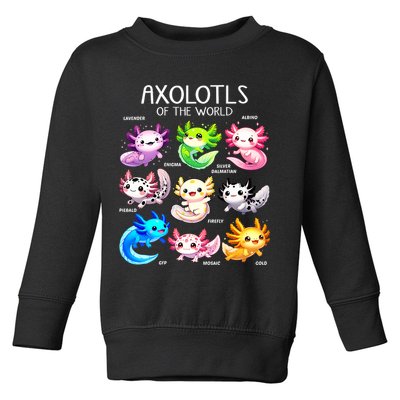 Axolotls Of The World Kawaii Types Of Axolotl Fish Amphibian Toddler Sweatshirt