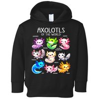 Axolotls Of The World Kawaii Types Of Axolotl Fish Amphibian Toddler Hoodie