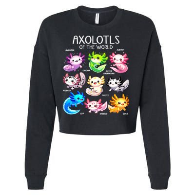 Axolotls Of The World Kawaii Types Of Axolotl Fish Amphibian Cropped Pullover Crew