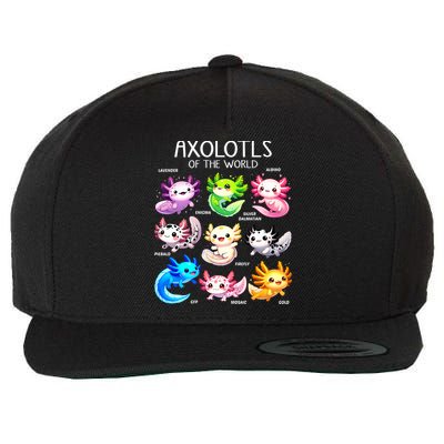 Axolotls Of The World Kawaii Types Of Axolotl Fish Amphibian Wool Snapback Cap