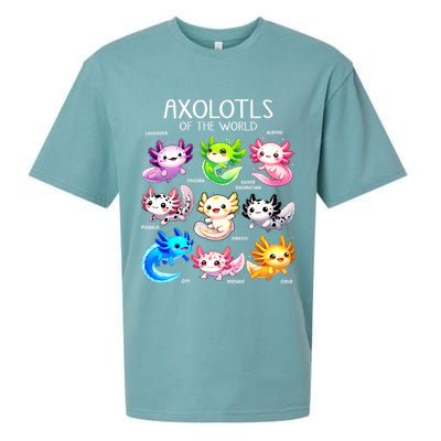 Axolotls Of The World Kawaii Types Of Axolotl Fish Amphibian Sueded Cloud Jersey T-Shirt