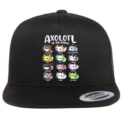 Axolotls Of The World Kawaii Types Of Axolotl Fish Amphibian Flatbill Hat