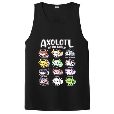 Axolotls Of The World Kawaii Types Of Axolotl Fish Amphibian PosiCharge Competitor Tank