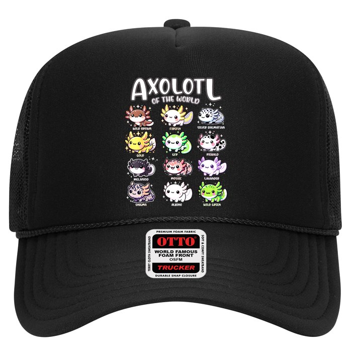 Axolotls Of The World Kawaii Types Of Axolotl Fish Amphibian Hat