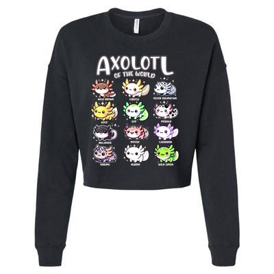 Axolotls Of The World Kawaii Types Of Axolotl Fish Amphibian Cropped Pullover Crew