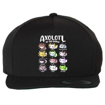 Axolotls Of The World Kawaii Types Of Axolotl Fish Amphibian Wool Snapback Cap
