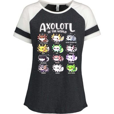 Axolotls Of The World Kawaii Types Of Axolotl Fish Amphibian Enza Ladies Jersey Colorblock Tee