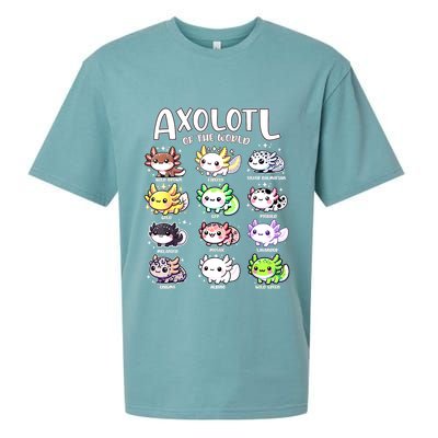 Axolotls Of The World Kawaii Types Of Axolotl Fish Amphibian Sueded Cloud Jersey T-Shirt