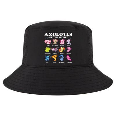 Axolotls Of The World Kawaii Axolotl Animals Fish Amphibian Cool Comfort Performance Bucket Hat