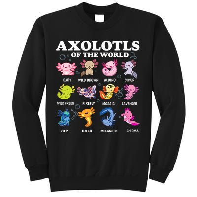Axolotls Of The World Kawaii Axolotl Animals Fish Amphibian Sweatshirt