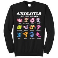 Axolotls Of The World Kawaii Axolotl Animals Fish Amphibian Sweatshirt