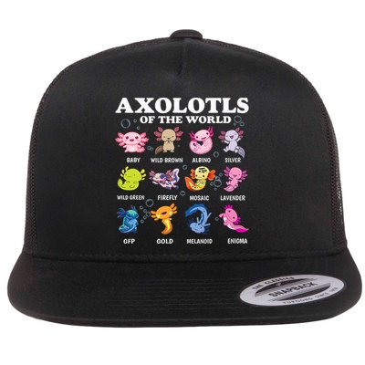 Axolotls Of The World Kawaii Axolotl Animals Fish Amphibian Flat Bill Trucker Hat