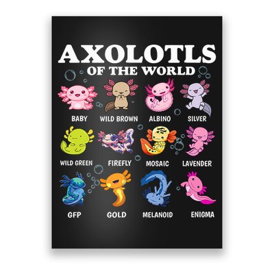 Axolotls Of The World Kawaii Axolotl Animals Fish Amphibian Poster