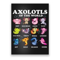 Axolotls Of The World Kawaii Axolotl Animals Fish Amphibian Poster