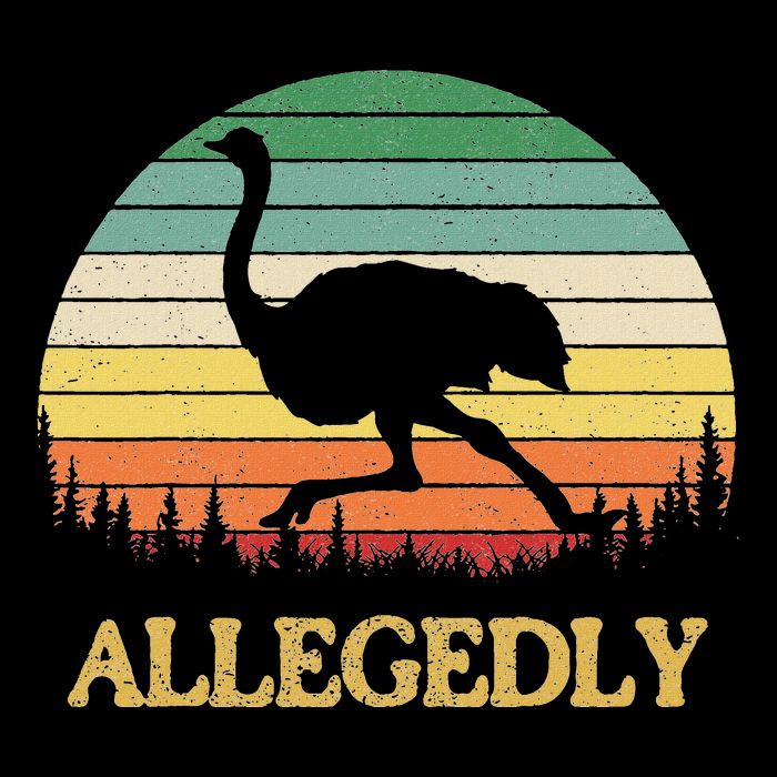Allegedly Ostrich Vintage Retro Funny Ostrich Lover Hoodie
