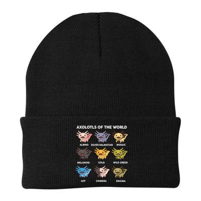  Axolotl Of World  Beanie