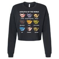  Axolotl Of World  Cropped Pullover Crew
