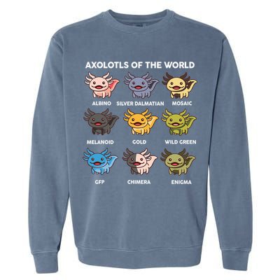  Axolotl Of World  Garment-Dyed Sweatshirt