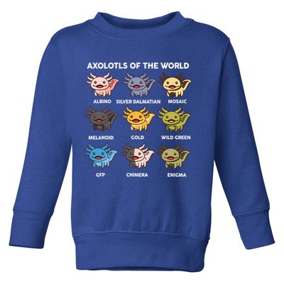 Axolotl Of World  Toddler Sweatshirt