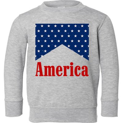 America Patriotic 4th Of July Toddler Sweatshirt