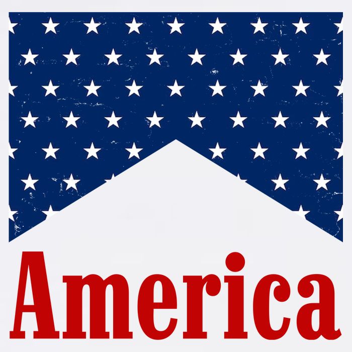 America Patriotic 4th Of July V-Neck T-Shirt